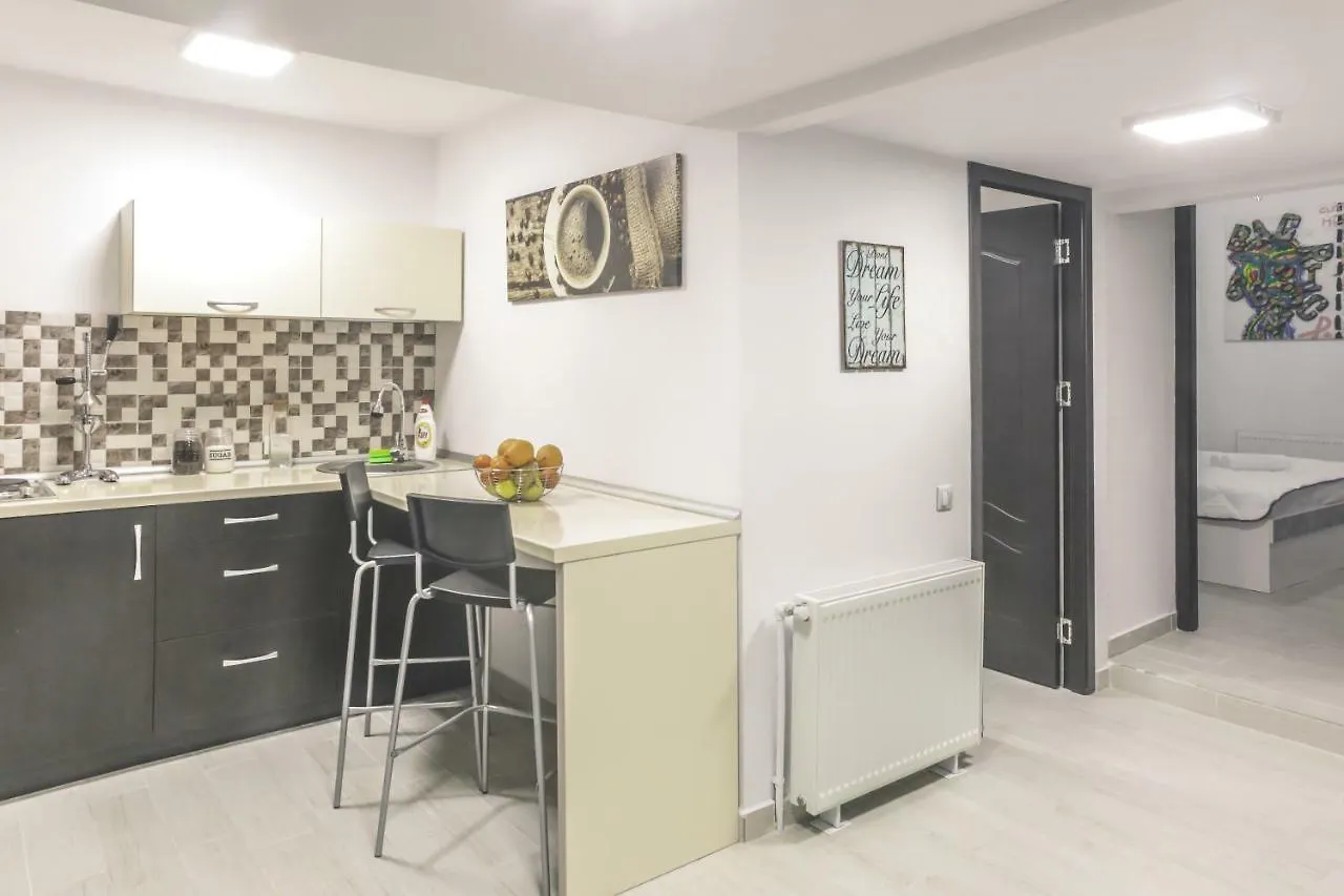 布加勒斯特Victoria Duplex Apartament公寓 公寓 布加勒斯特